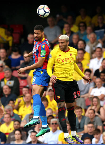 队主教练德 队主教练德