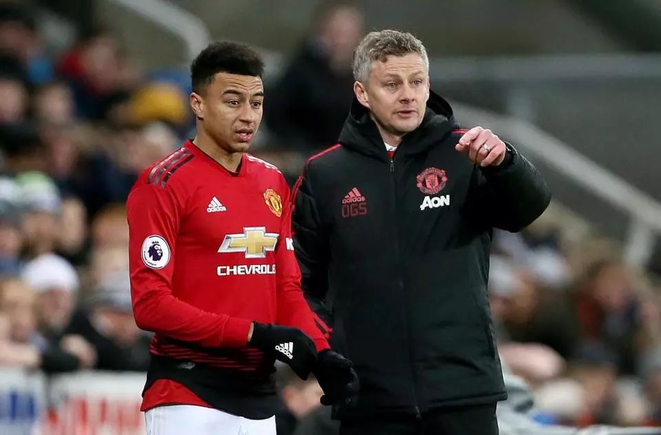 轻的贝林厄 轻的贝林厄